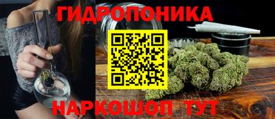 амф Новозыбков