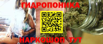 крисы Новокубанск