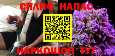 крисы Новокубанск