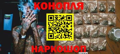 крисы Новокубанск