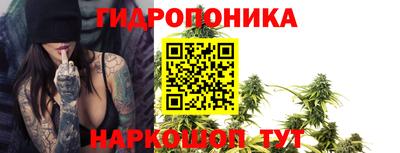 крисы Новокубанск