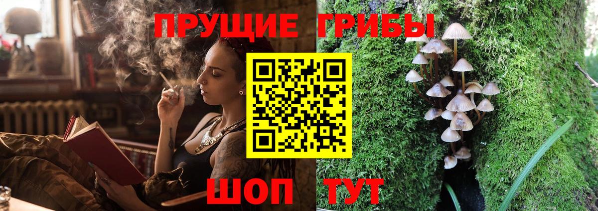 Галлюциногенные грибы Cubensis  Вход с VPN  Сердобск 