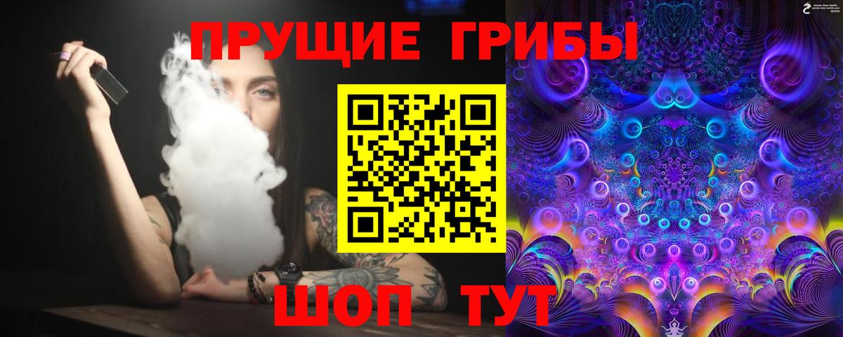 Галлюциногенные грибы Psilocybe Сердобск